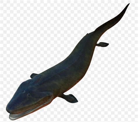 Late Devonian Extinction Amphibian Tiktaalik Evolution Sarcopterygii, PNG, 1902x1680px, Late ...