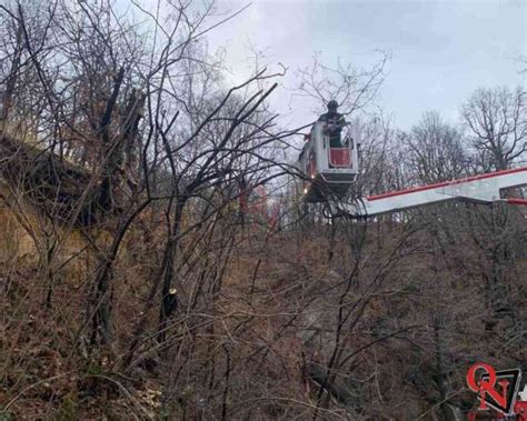 Valperga Numerosi Alberi Abbattuti Dal Maltempo In Localit Riborgo E