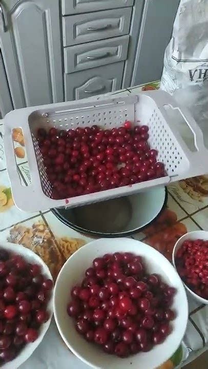 #вишня #косточка Как вытащить косточку из вишни. - YouTube