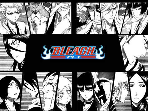 🔥 Free Download Anime Bleach T Shir Hitsugaya Sajin Komamura Genry Sai