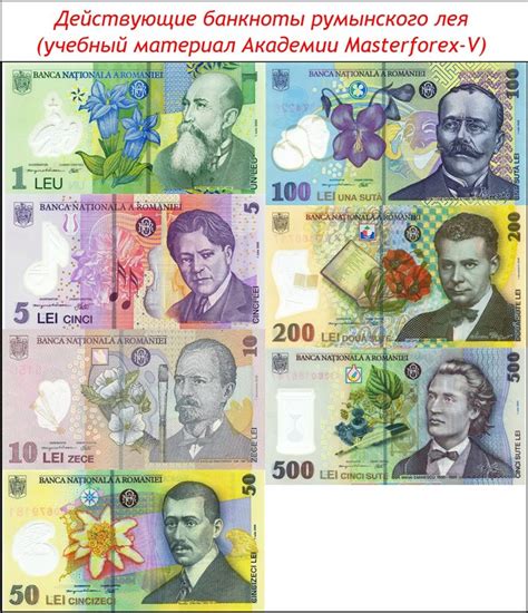 Румынский лей - валюта Румынии глазами трейдеров Masterforex-V