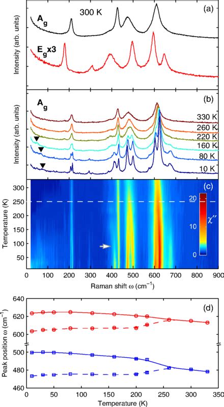 A Polarized Raman Spectra Obtained At 300k Offset For Clarity Peaks