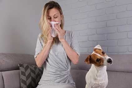 Allergia Al Pelo Del Cane Cani Anallergici Sintomi E Rimedi Per L