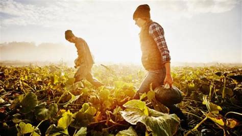 Auditora hot subió la temperatura en el Chacotero Sentimental con sus
