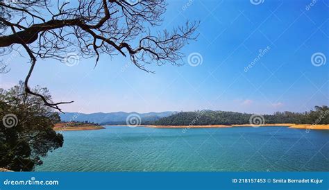 Emerald Lake in Ooty stock image. Image of nature, beach - 218157453