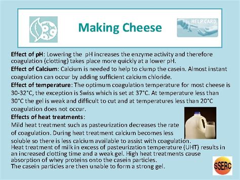 Making Cheese To make cheese you need milk