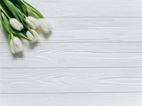 Белые тюльпаны в углу на белом деревянном фоне - обои для рабочего ...