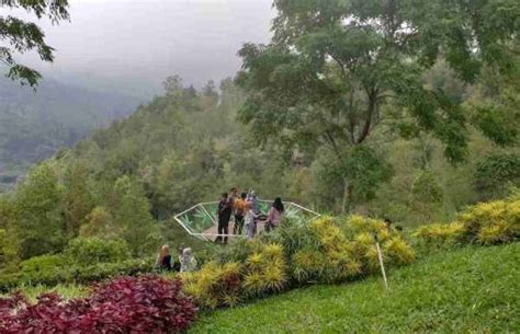 Ditetapkan Sebagai Shelter Tourism Inilah Pesona Taman Langit Gunung