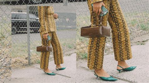 Ways To Wear Snake Print Sarah Christine