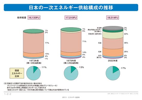 【1 2 02】 日本の一次エネルギー供給構成の推移 エネ百科｜きみと未来と。