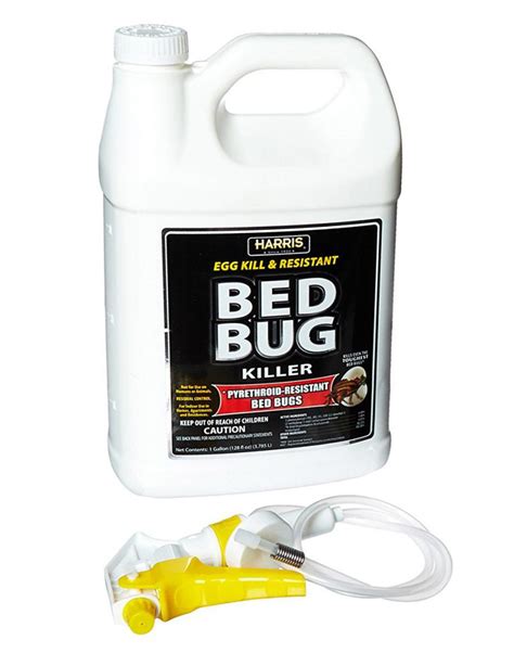 Best Bed Bug Killer May 2024 Buyers Guide And Reviews