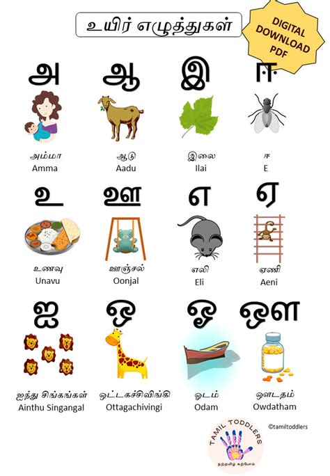 Tamil Alphabet Poster Uyir Ezhuthukkal Poster Tamil Letters Poster Tamil Poster Tamil Chart