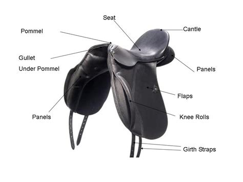 Good Diagram English Saddle Parts 960×720 English Saddle