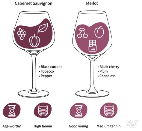 Cabernet Sauvignon vs. Merlot Tasting Guide | Total Wine & More