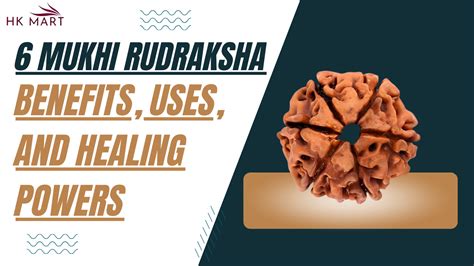 6 Mukhi Rudraksha Benefits Uses And Healing Powers Hare Krishna Mart