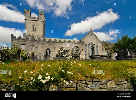 St Marys Cathedral Limerick County Limerick Ireland Limerick