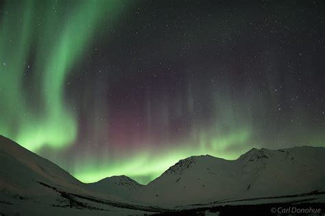 Northern Lights And Chandalar Shelf Brooks Range Alaska Carl