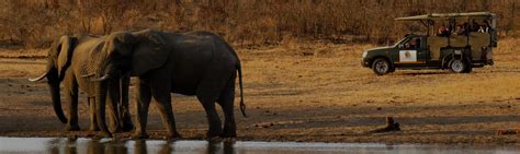 Safari Tours Hoedspruit | Timbavati Safari Lodge