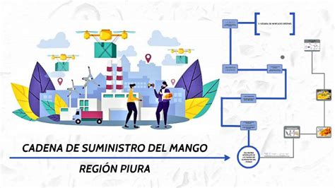 Cadena De Suministros Del Mango By Johnny Vargas Juarez On Prezi