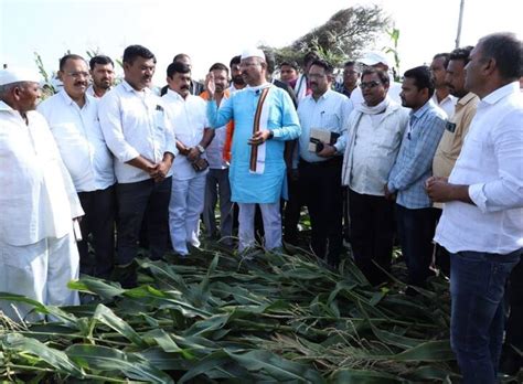 Agriculture Minister Abdul Sattar Inspected The Damaged Farms Abdul Sattar कृषीमंत्री अब्दुल