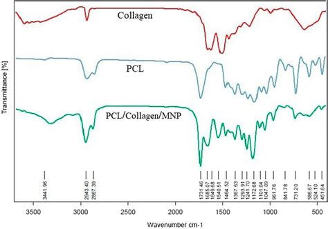 ftir spectrum  collagen pcl  pclcollagenmnps scaffolds