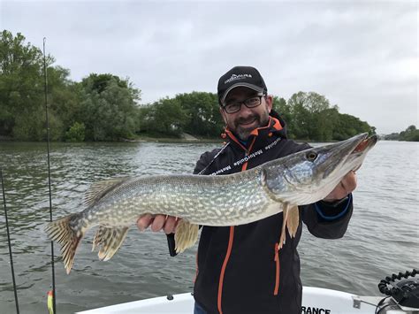 Maine Et Loire La Pêche Au Sandre Et Au Brochet Ouvre Ce Samedi 30