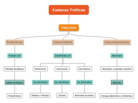 Cadenas Tróficas Mind Map