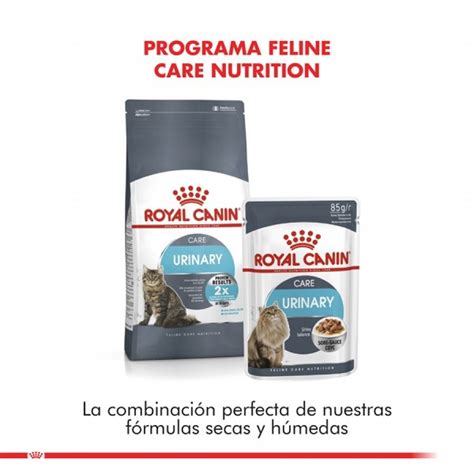 Royal Canin Alimento Seco Gato Adulto Urinary Care