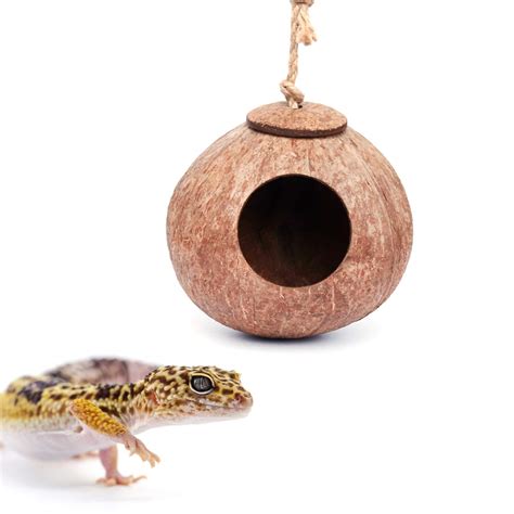 Buy Besimple Gecko Coconut Husk Hut Bird Hut Nesting House Hideouts