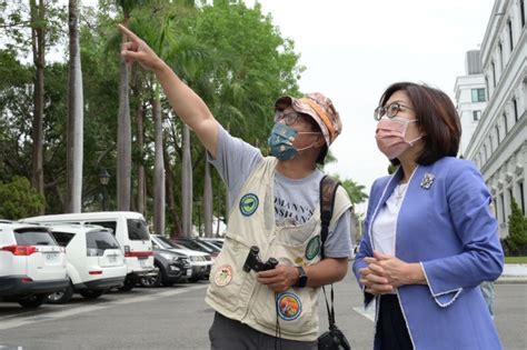 黃鸝鳥現身高市議會傳宗接代添好運 康裕成指示設封鎖線守護雛鳥 風傳媒