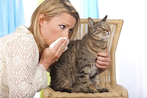 Can Dog Hair Cause Nasal Polyps