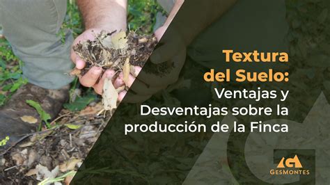 Textura Del Suelo Ventajas Y Desventajas Sobre La Producción De La