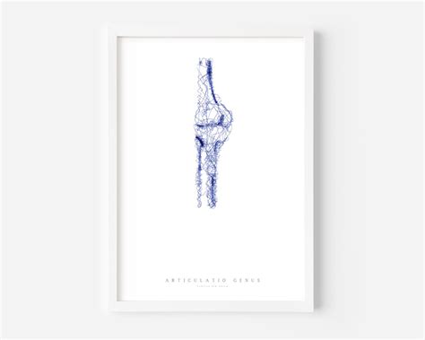 Articulatio Genus - Knee Joint | Medical Artwork | Anatomy Wall Art - Etsy