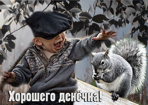 Позитивная открытка с белкой Хорошего денечка- Скачать бесплатно на ...