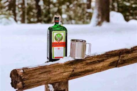 Is Jägermeister Good For You? Potential Health Benefits & Risks To Know ...
