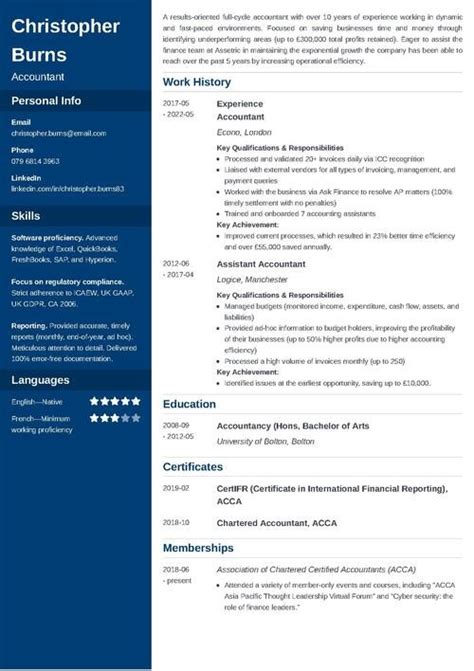accountant cv template examples writing guide