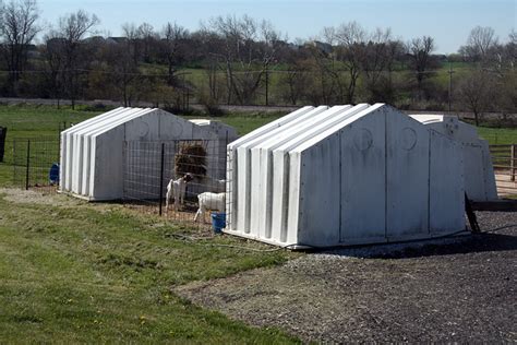 Super Calf Hutches Flickr Photo Sharing