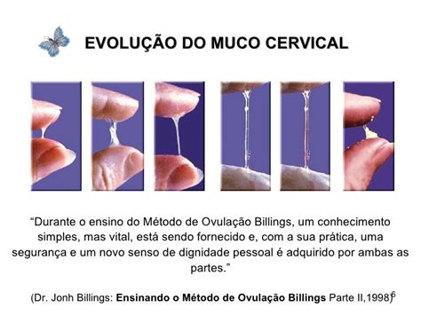 Método de Billings