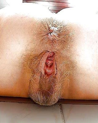 BIG NASTY PUSSYS Porn Pictures XXX Photos Sex Images 359781 PICTOA
