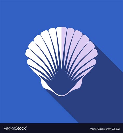 Sea Shell Royalty Free Vector Image Vectorstock