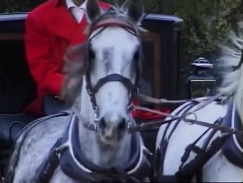 Free Actors Porn Videos Xhamster