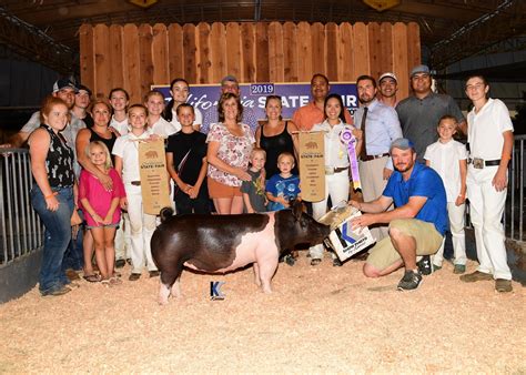 Fair Winners - Ottenwalter Showpigs