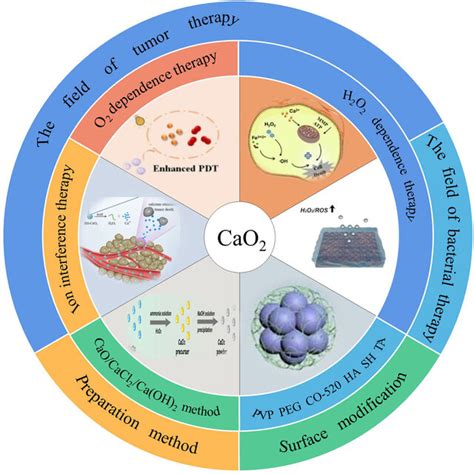 Schematic Representation Of Pcn 224 Combined With Ha Modified Cao2 Nps Download Scientific