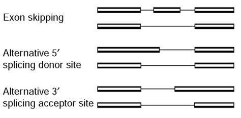 Comparison of pairs of transcripts from the same gene showing three ...