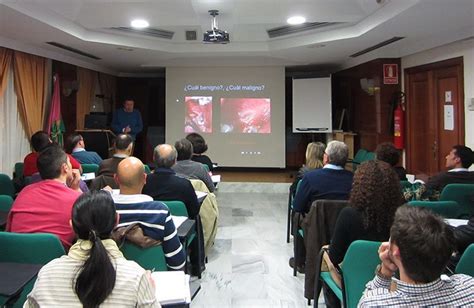 Comienza La Iv Edici N Del M Ster De Cirug A Oral Implantes Y