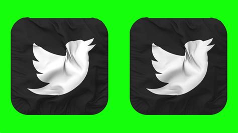 Twitter Flag Icon In Squire Shape Isolated With Plain And Bump Texture