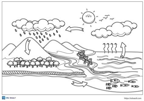 12 Free Water Cycle Coloring Pages And Diagrams Esl Vault