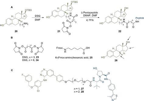 Figure From Current Strategies For The Design Of Protac Linkers A