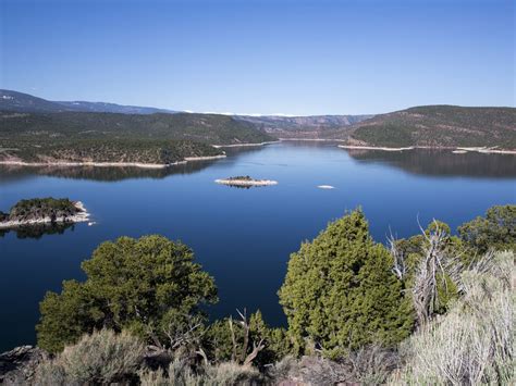 The Wildlife Paddle Boarding Guide To Wyoming