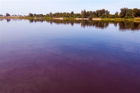 Lac Rose Trip from Dakar - Book Online at Civitatis.com